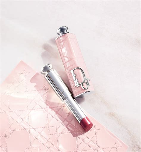 etui rouge a levre dior